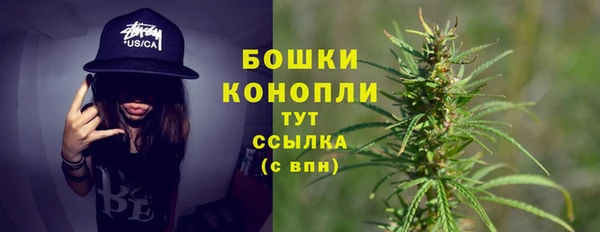 молекула духа Сосновый Бор