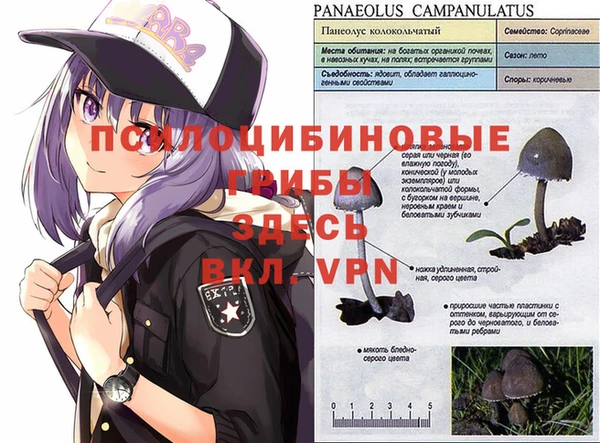 мефедрон Горнозаводск