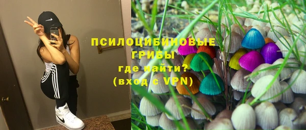 мескалин Горно-Алтайск