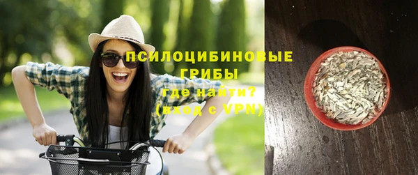 молекула духа Горняк