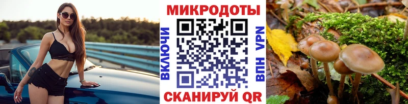 Псилоцибиновые грибы ЛСД Изобильный